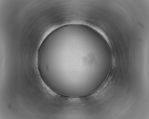 X0000111791006200908061132