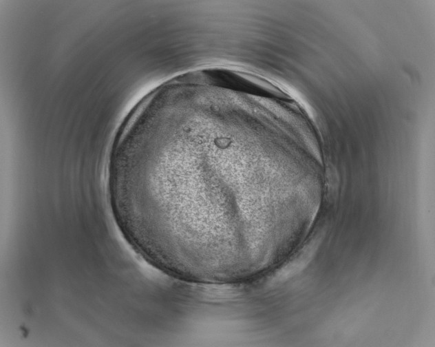 X0000111791007200908061132