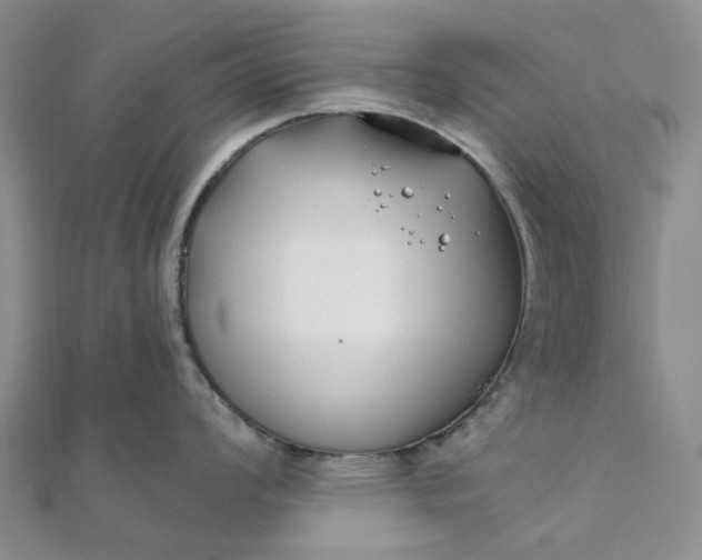 X0000111791008200908061132