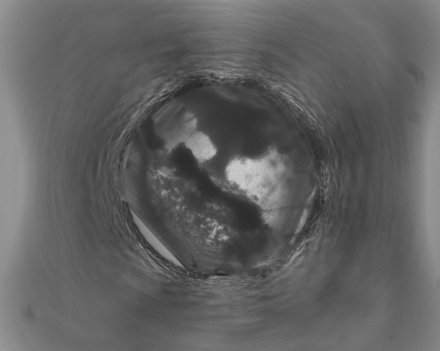 X0000111791009200908061132