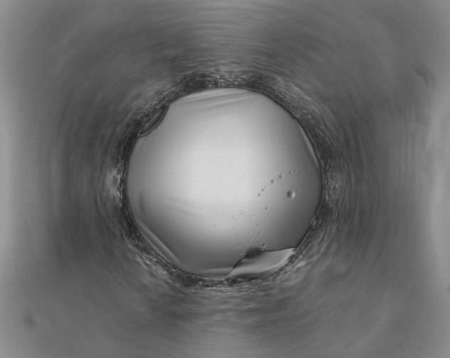 X0000111791010200908061132