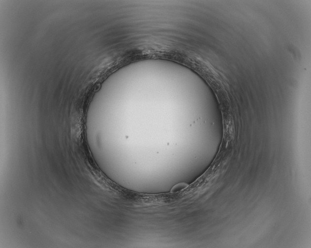 X0000111791012200908061132