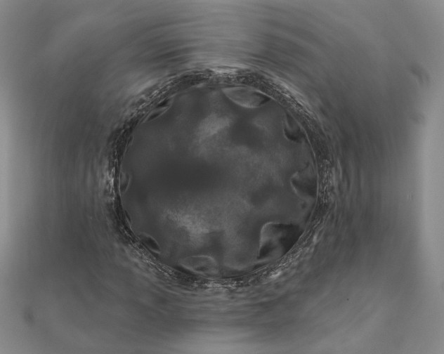 X0000111791013200908061132