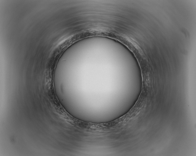 X0000111791015200908061132