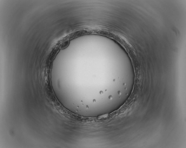 X0000111791016200908061132