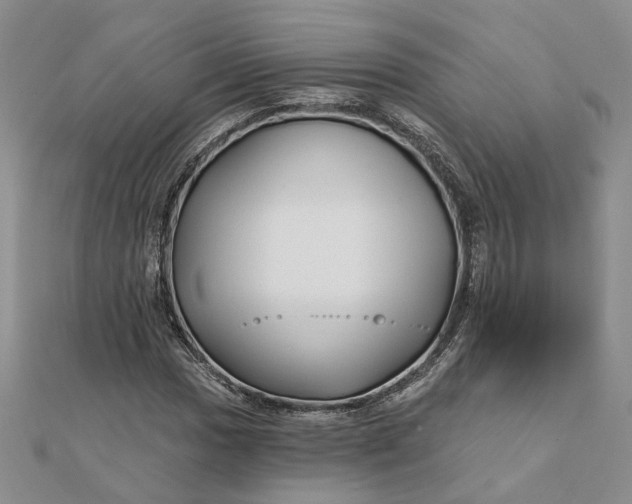 X0000111791017200908061132