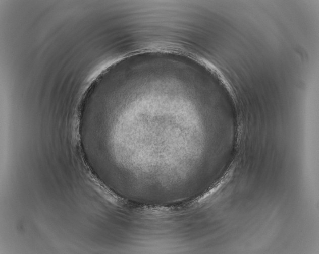 X0000111791019200908061132