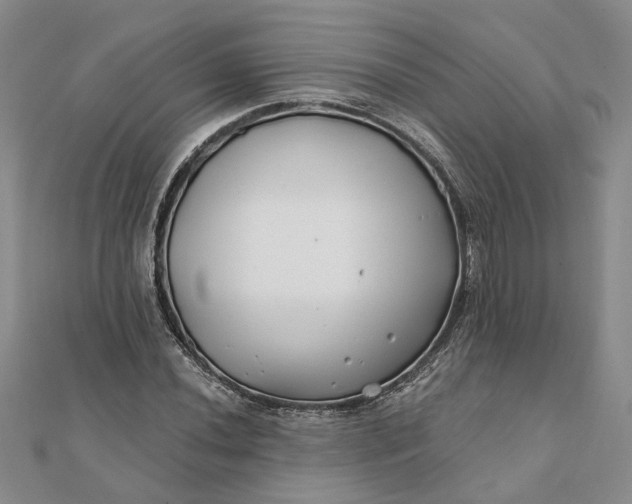 X0000111791020200908061132