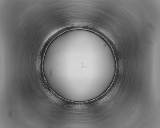 X0000111791021200908061132