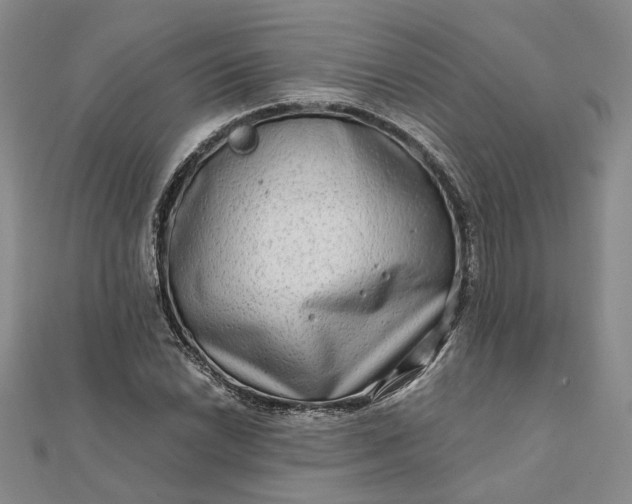 X0000111791022200908061132