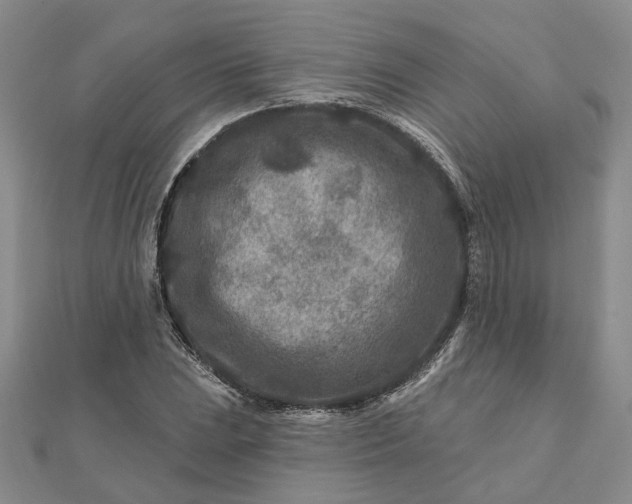 X0000111791023200908061132