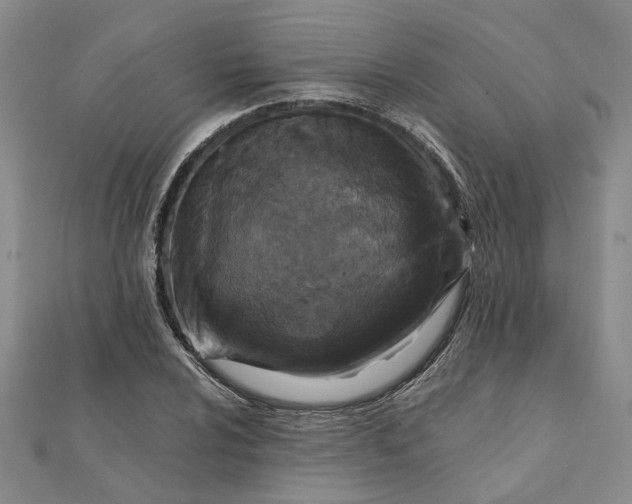 X0000111791024200908061132