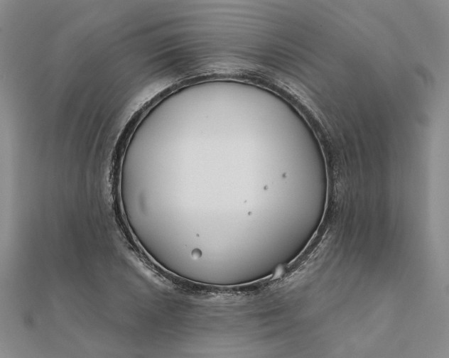 X0000111791026200908061132