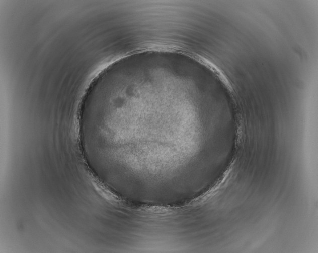 X0000111791027200908061132