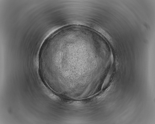 X0000111791028200908061132