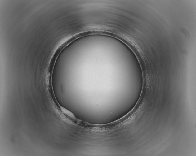 X0000111791029200908061132