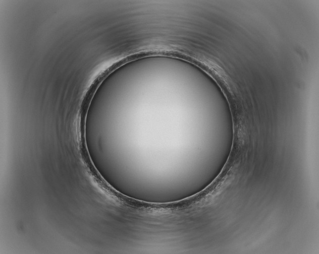 X0000111791030200908061132