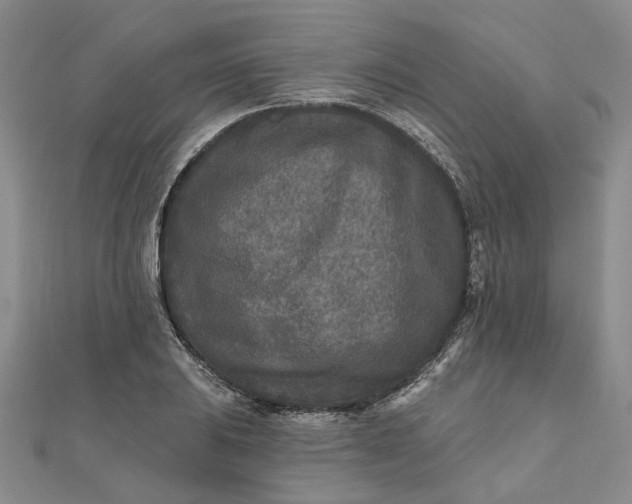 X0000111791031200908061132