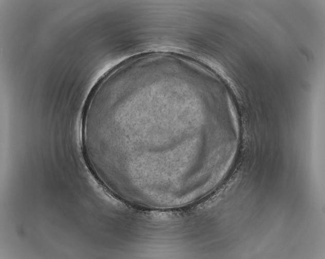 X0000111791032200908061132