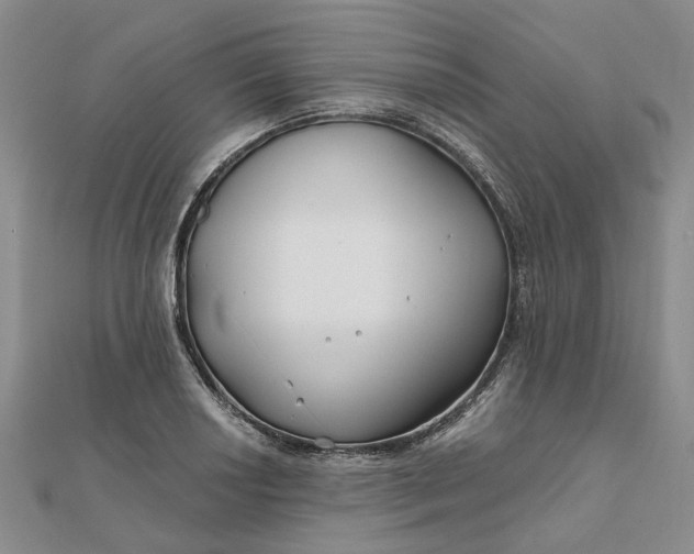 X0000111791034200908061132