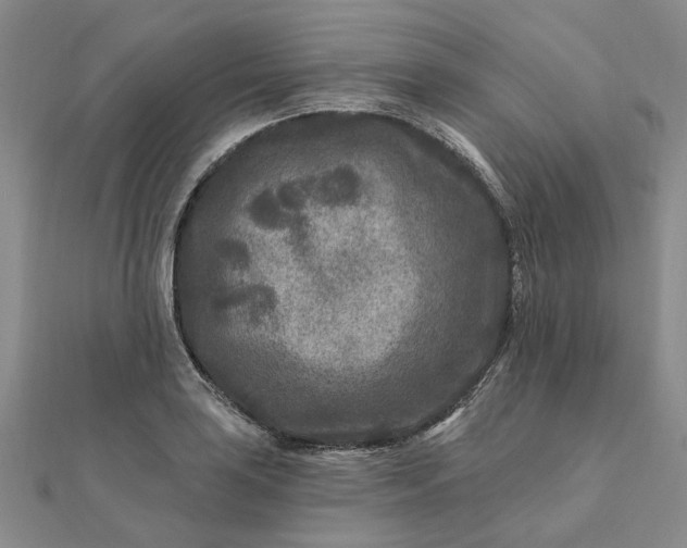 X0000111791035200908061132