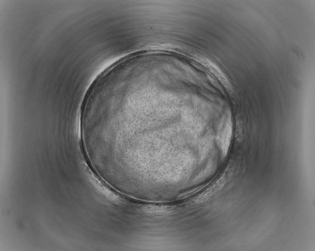 X0000111791036200908061132