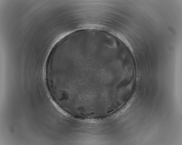 X0000111791037200908061132