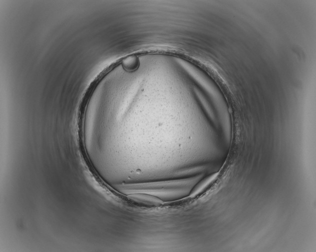 X0000111791038200908061132