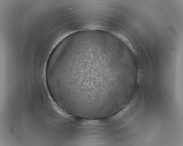 X0000111791039200908061132