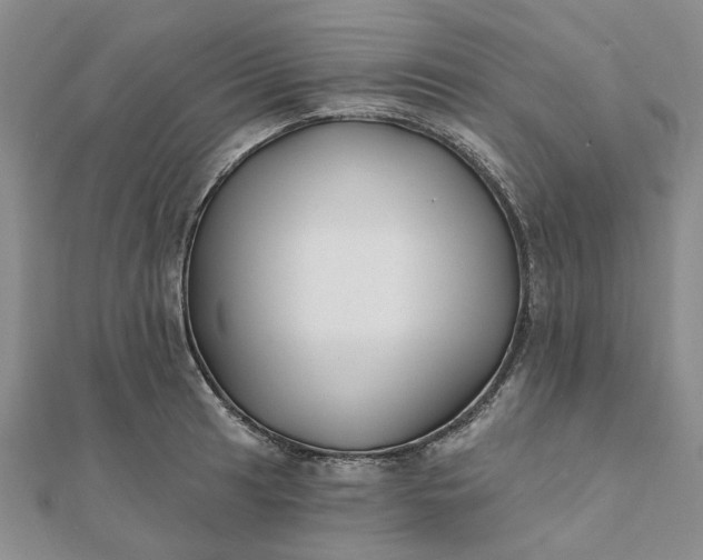 X0000111791041200908061132