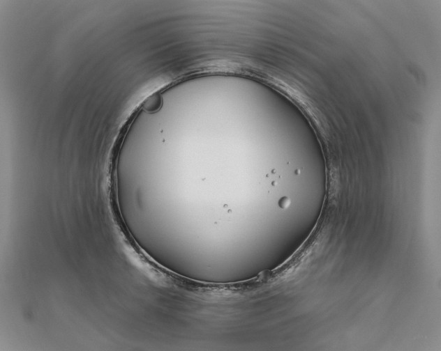 X0000111791042200908061132