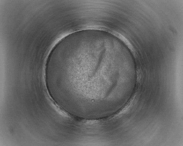 X0000111791043200908061132