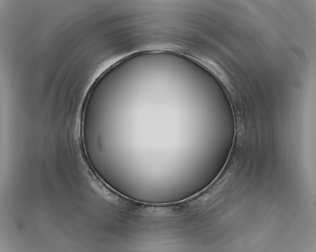 X0000111791044200908061132