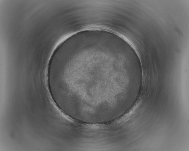 X0000111791045200908061132