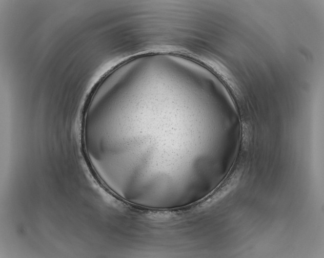 X0000111791046200908061132