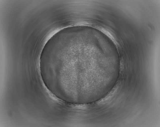 X0000111791047200908061132