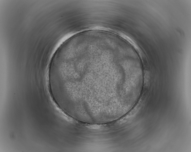 X0000111791048200908061132