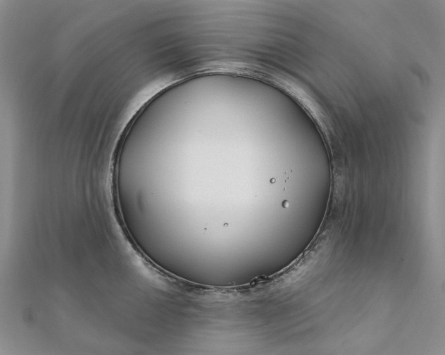 X0000111791050200908061132