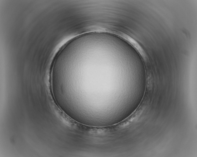 X0000111791051200908061132