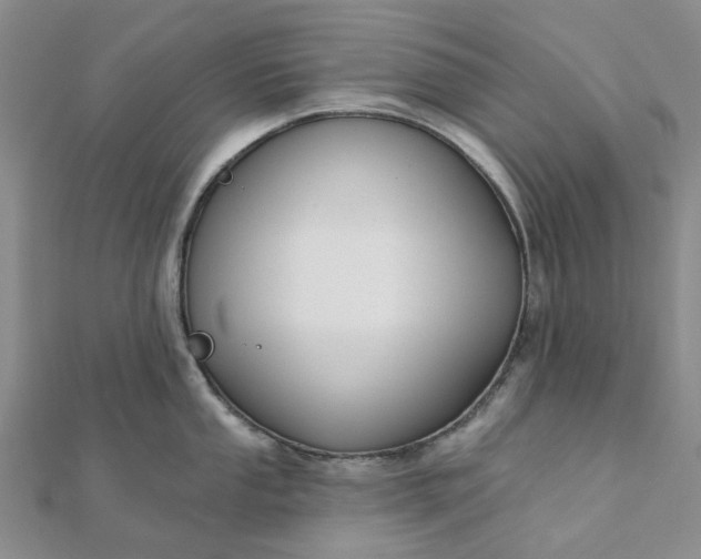 X0000111791053200908061132