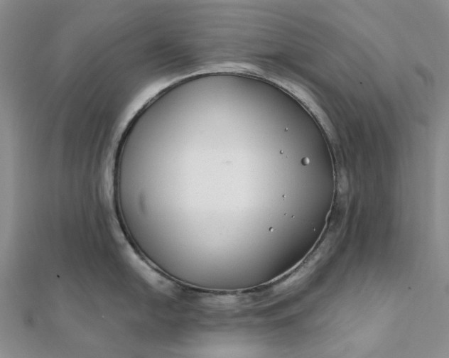 X0000111791054200908061132