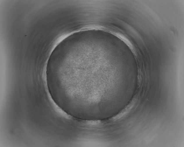 X0000111791055200908061132