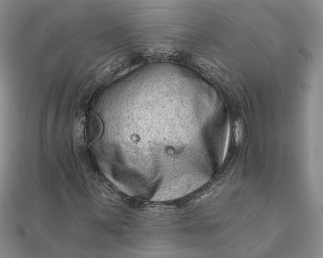 X0000111791059200908061132