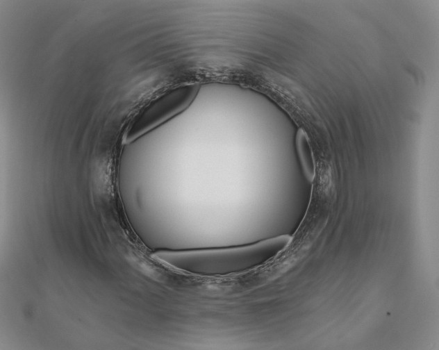 X0000111791060200908061132