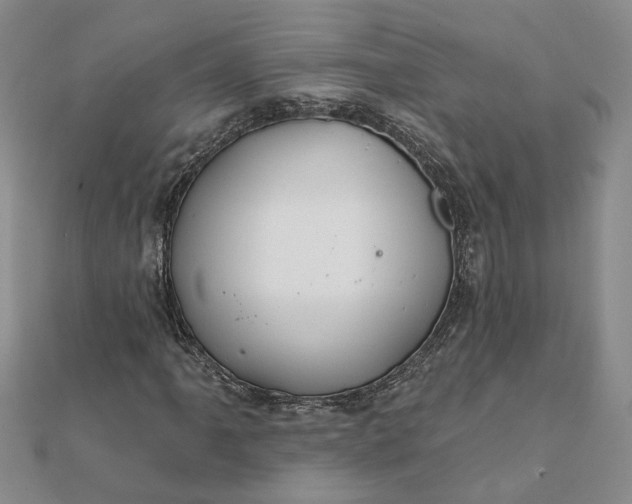 X0000111791061200908061132