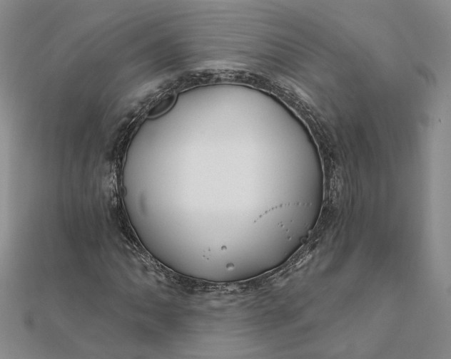 X0000111791062200908061132