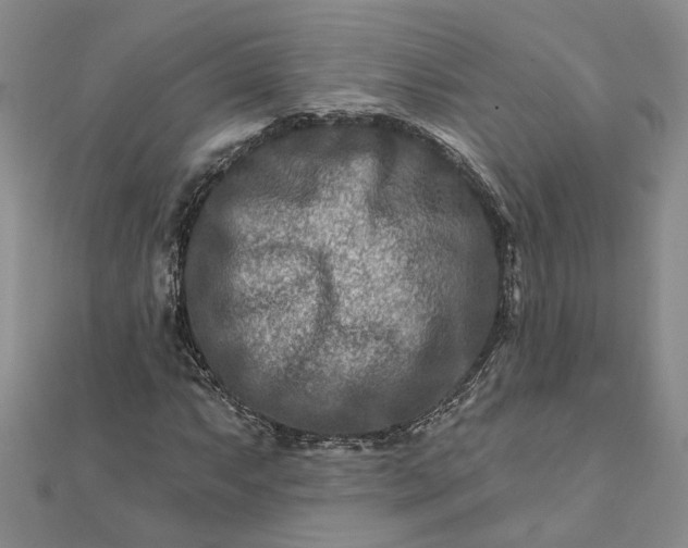 X0000111791063200908061132