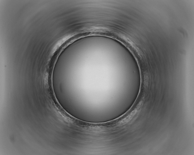 X0000111791066200908061132