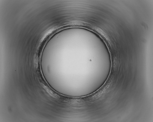 X0000111791067200908061132