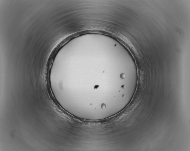 X0000111791068200908061132